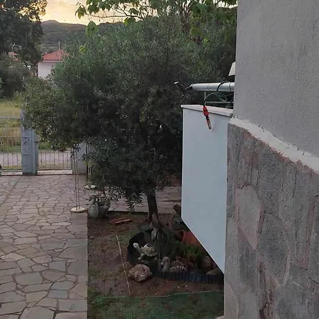 House Of Artemis In